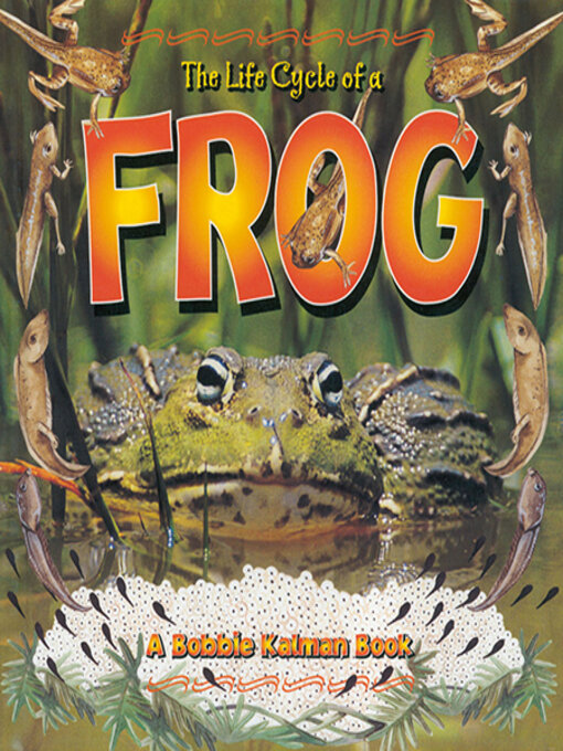 Title details for The Life Cycle of a Frog by Bobbie Kalman - Available